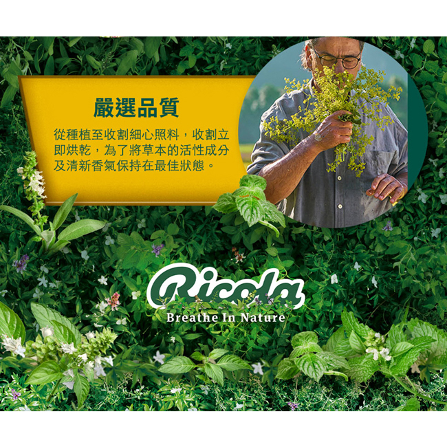 利口樂 瑞士草本喉糖250g/瓶