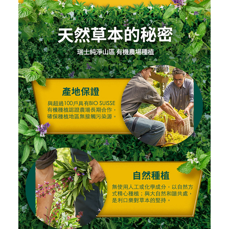 利口樂 瑞士草本喉糖250g/瓶